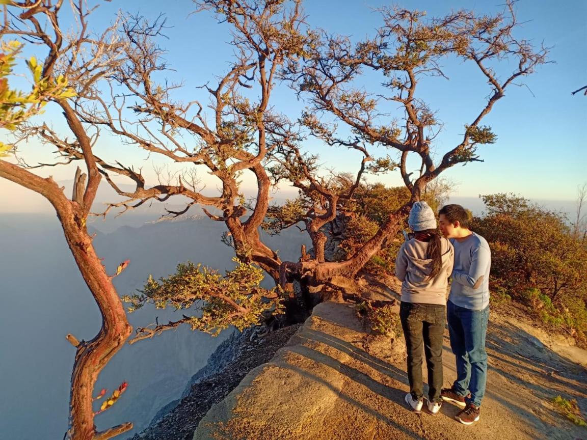 Thalia Homestay & Ijen Bromo Tour Banyuwangi  Zewnętrze zdjęcie