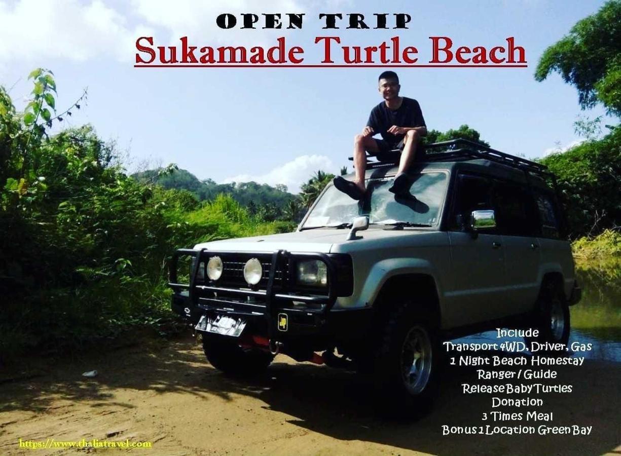 Thalia Homestay & Ijen Bromo Tour Banyuwangi  Zewnętrze zdjęcie