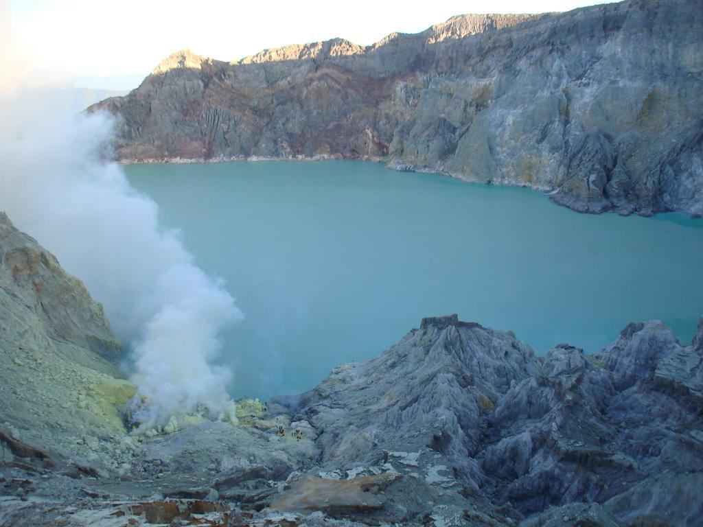 Thalia Homestay & Ijen Bromo Tour Banyuwangi  Zewnętrze zdjęcie
