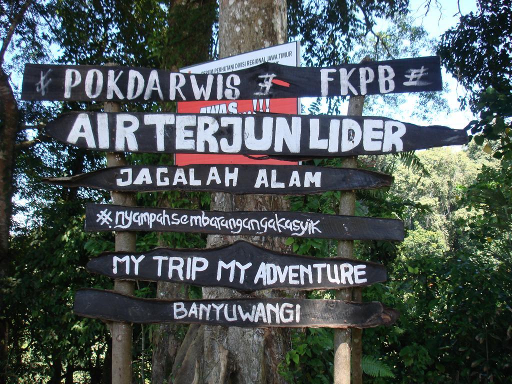 Thalia Homestay & Ijen Bromo Tour Banyuwangi  Zewnętrze zdjęcie