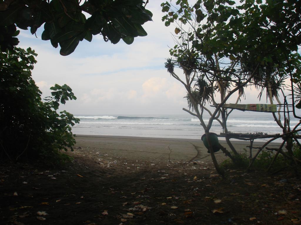 Thalia Homestay & Ijen Bromo Tour Banyuwangi  Zewnętrze zdjęcie