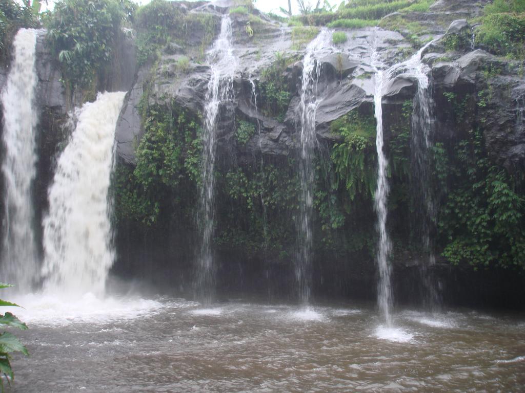 Thalia Homestay & Ijen Bromo Tour Banyuwangi  Zewnętrze zdjęcie