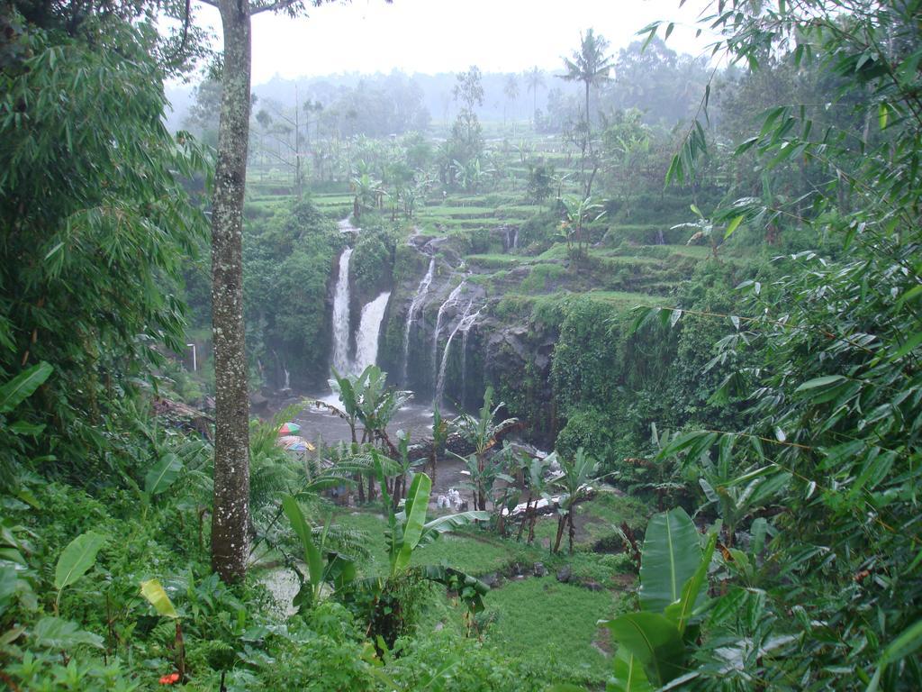 Thalia Homestay & Ijen Bromo Tour Banyuwangi  Zewnętrze zdjęcie