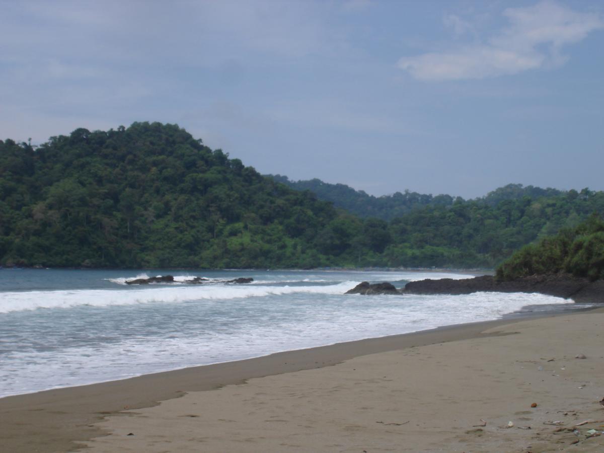 Thalia Homestay & Ijen Bromo Tour Banyuwangi  Zewnętrze zdjęcie
