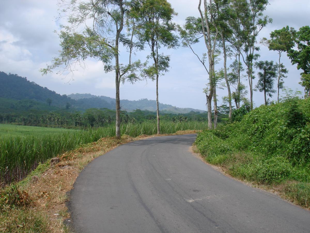 Thalia Homestay & Ijen Bromo Tour Banyuwangi  Zewnętrze zdjęcie