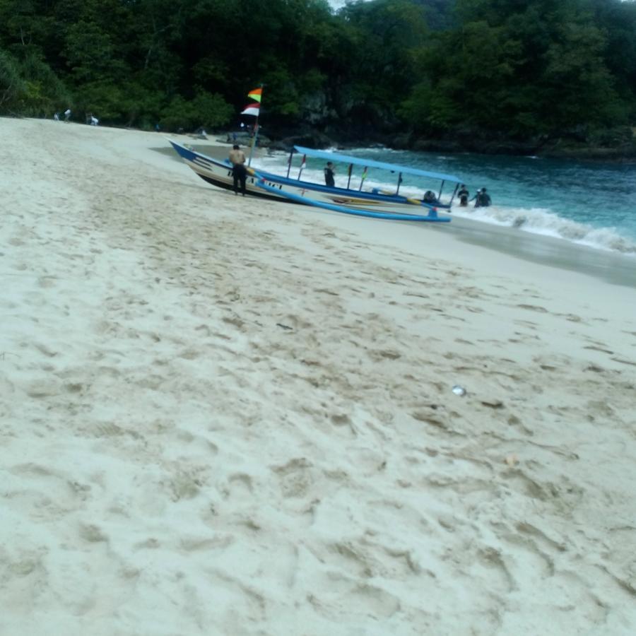 Thalia Homestay & Ijen Bromo Tour Banyuwangi  Zewnętrze zdjęcie