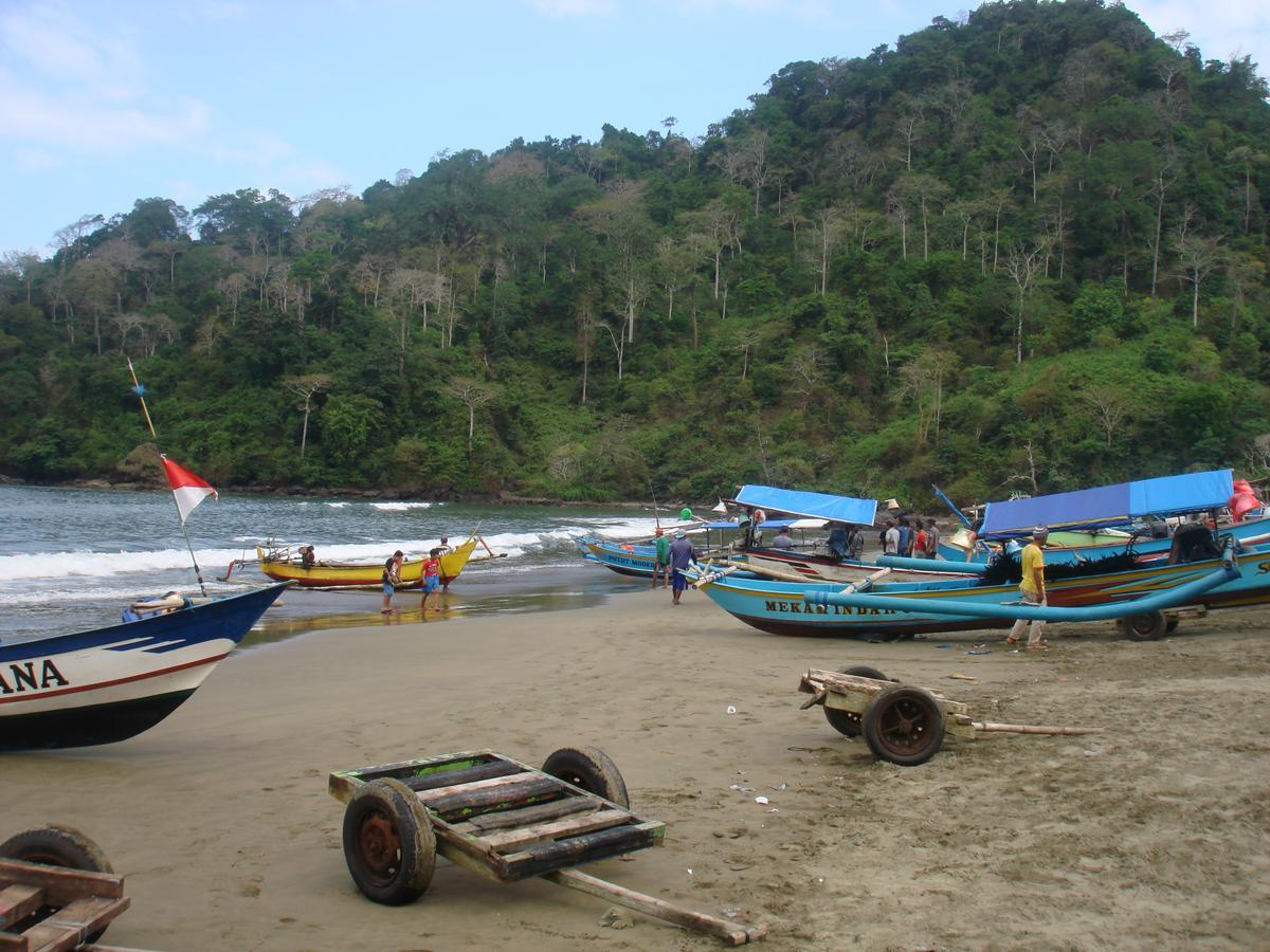 Thalia Homestay & Ijen Bromo Tour Banyuwangi  Zewnętrze zdjęcie