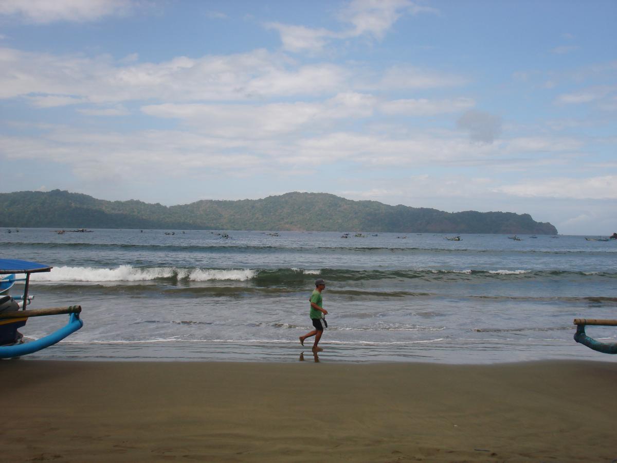 Thalia Homestay & Ijen Bromo Tour Banyuwangi  Zewnętrze zdjęcie