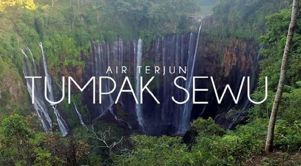 Thalia Homestay & Ijen Bromo Tour Banyuwangi  Zewnętrze zdjęcie
